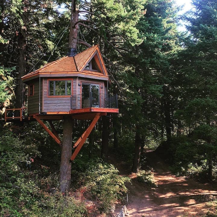 Osprey Treehouse — Columbia River Gorge
