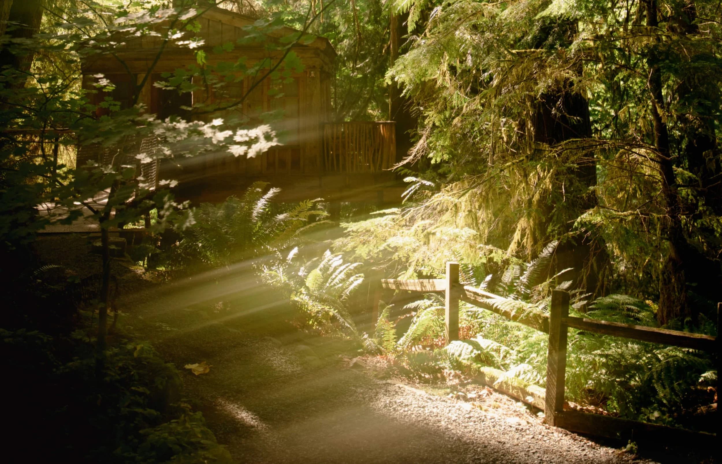 TreeHouse Point — Temple of the Blue Moon